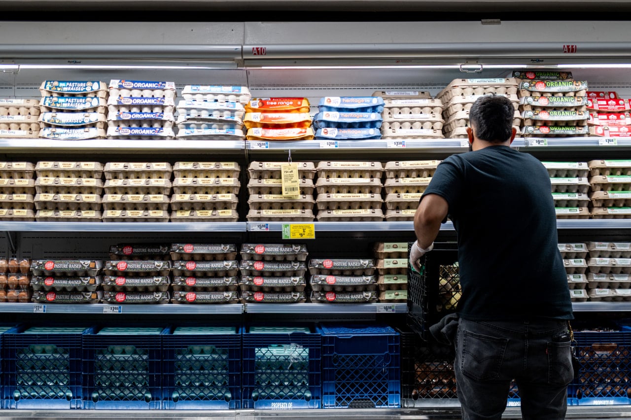 Cal-Maine, Versova and Hickman's settle US egg price-fixing probe for $3.3m